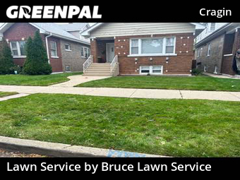 Grass Cutting nearby Chicago, IL, 