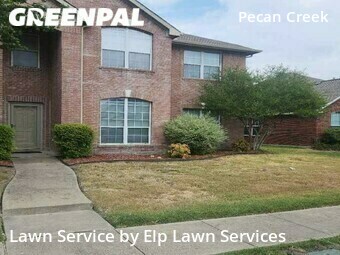 Grass Cut nearby Mesquite, TX, 