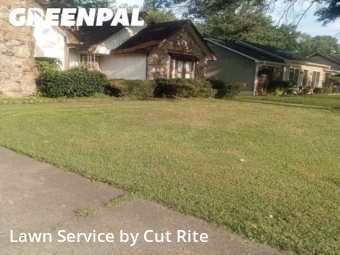 Lawn Cut nearby Memphis, AR, 