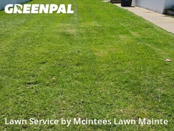 Yard Mowing nearby Romulus, MI, 