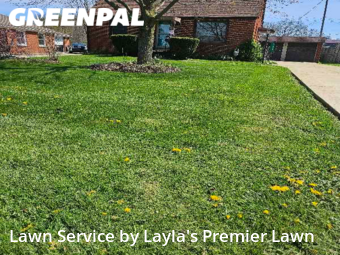 Lawn Cut nearby Mansfield, OH, 