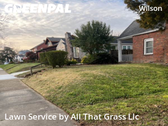 Yard Cutting nearby Newport News, VA, 