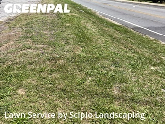 Lawn Service nearby Columbia, SC, 