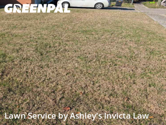 Lawn Care Service nearby Killeen, TX, 