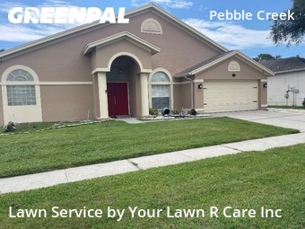 Grass Cut nearby Tampa, FL, 