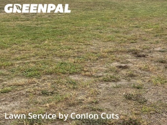 Yard Mowing nearby Palmetto, FL, 