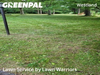 Grass Cut nearby Columbus, OH, 