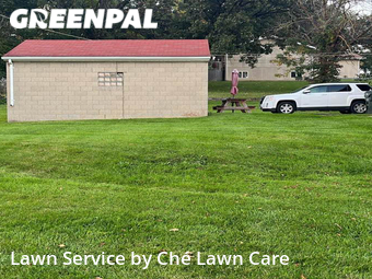 Yard Cutting nearby Rockdale, IL, 