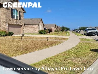 Lawn Mow nearby Corpus Christi, TX, 