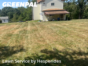 Grass Cutting nearby Homestead, PA, 