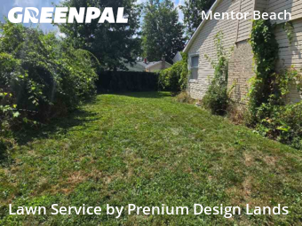 Lawn Care Service nearby Mentor On The Lake, OH, 