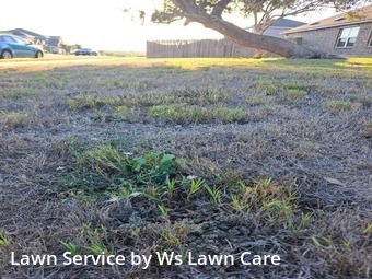 Lawn Mowing Service nearby Cibolo, TX, 