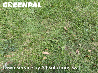 Lawn Care Service nearby Winter Haven, FL, 