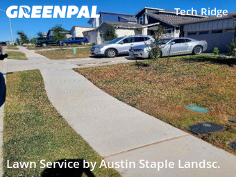 Yard Upkeep in Pflugerville, 78660, Grass Services by Austin Staple Landsc., work completed in Nov , 2025