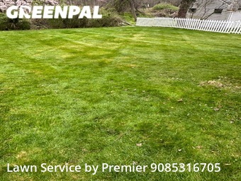 Yard Cutting nearby Springfield, NJ, 