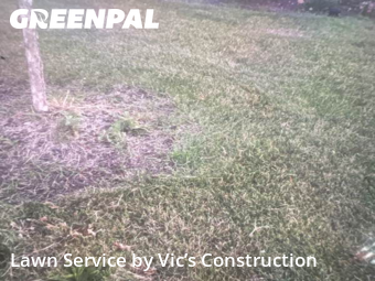 Lawn Mow nearby Plainfield, IL, 