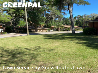 Lawn Cut nearby Ocala, FL, 