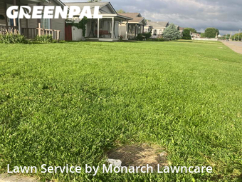 Yard Cutting nearby Indianapolis, IN, 