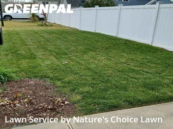 Yard Mowing nearby Virginia Beach, FL, 