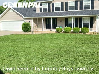 Lawn Mow nearby Kingsport, TN, 