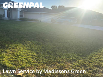 Lawn Maintenance in West Palm Beach, 33413, Yard Maintenance by Madissons Green, work completed in Nov , 2025