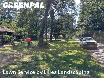Grass Cutin Conroe,77304,Grass Cut by Lilies Landscaping, work completed in Nov , 2025