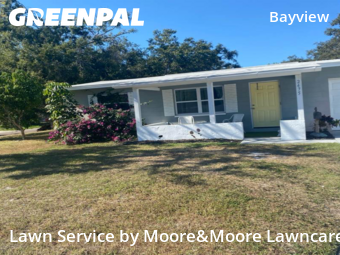 Grass Cut nearby St. Petersburg, FL, 