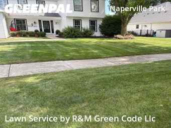 Yard Cutting nearby Naperville, IL, 