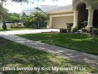 Yard Cutting nearby Lake Mary, TX, 