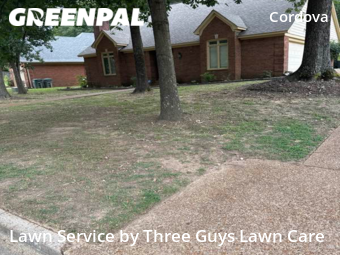 Lawn Mow nearby Memphis, TN, 