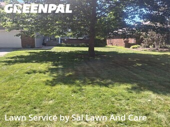 Grass Cutting nearby Hammond, IN, 
