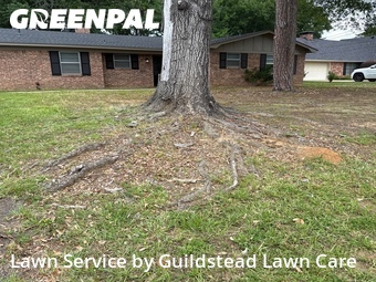 Lawn mowed in Longview, 75605