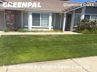 Landscaping In Roseville,95678,Landscaping Cleanup by Mojica Lawn Care Llc, work completed in Jul , 2026