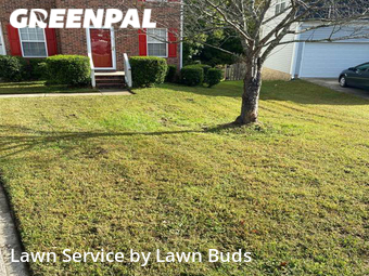 Lawn Cut nearby Charlotte, NC, 