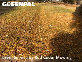 Grass Cut nearby Lansing, MI, 