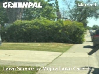 Work completed by lawn-care-experts-near-me-in-Carmichael-CA