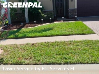 Lawn Mowing Service nearby New Port Richey, FL, 