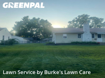 Lawn Cutting nearby Minneapolis, MN, 