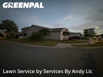 Lawn Mow nearby Oldsmar, FL, 