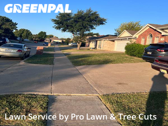 Lawn Maintenance nearby Arlington, TX, 