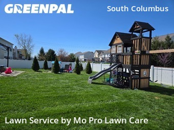 Lawn Mow nearby Pickerington, OH, 