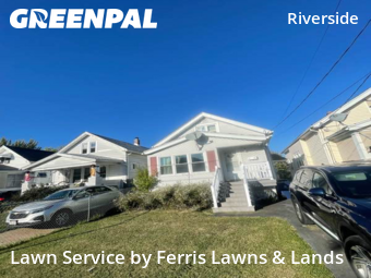 Yard Grooming in Buffalo, 14207, Lawn Management by Ferris Lawns & Lands, work completed in Oct , 2025