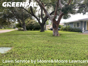 Lawn Cut nearby St. Petersburg, FL, 