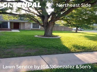 Grass Cutting nearby Converse, TX, 