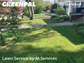 Yard Cutting nearby Greensboro, NC, 