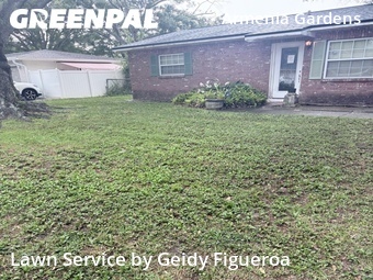 Lawn Mowing Service nearby Tampa, FL, 