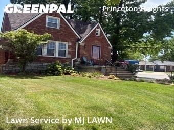 Grass Cut nearby Saint Louis, MO, 