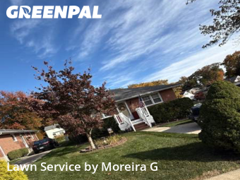 Yard Care Services in Parkville, 21234, Weed Trimming by Moreira G, work completed in Nov , 2025