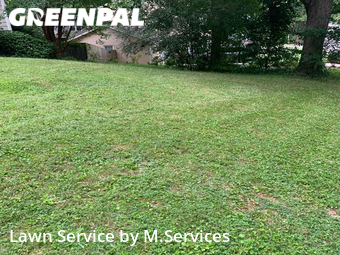 Lawn Cut nearby Greensboro, NC, 