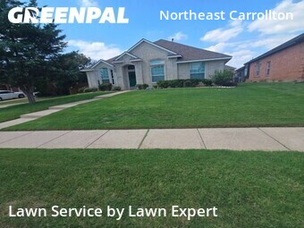 Yard Mowing nearby Plano, TX, 